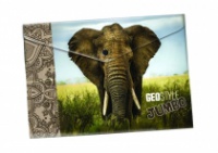 Obálka s drukem A4 + potisk slon