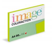 Coloraction A4/100ks  80g zelen stedn