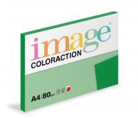 Coloraction A4/100ks  80g zelen syt