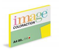 Coloraction A4/100ks  80g lut syt