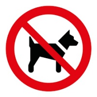 Samolepka zákaz pes 10x10cm            •